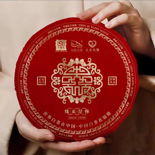 福鼎白茶2019年寿眉 商品图0