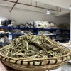 飞天蜈蚣 云南草药 商品缩略图1
