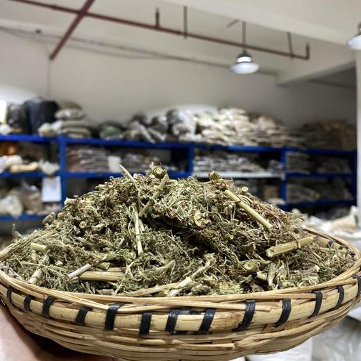 飞天蜈蚣 云南草药 商品图1