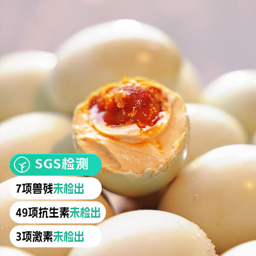 北海烤海鸭蛋 商品图0
