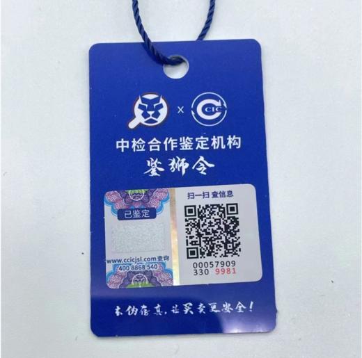 【中检鉴定】【全国联保】专柜版 阿玛尼（Emporio Armani）手表 机械时尚休闲 女士腕表AR1993 商品图1