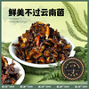滇二娃云南特产即食香蕈菌鸡枞牛肝松茸香菇类菌子解馋小零食小吃 商品缩略图6