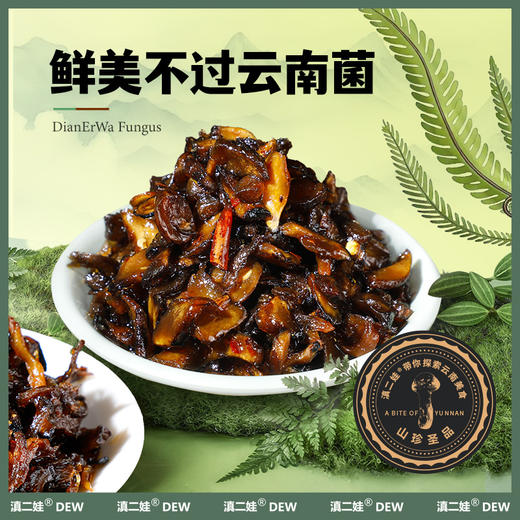 滇二娃云南特产即食香蕈菌鸡枞牛肝松茸香菇类菌子解馋小零食小吃 商品图6