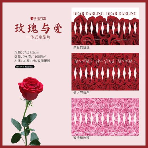【新款印花定型片】一体式定型片（4张/包） 商品图0