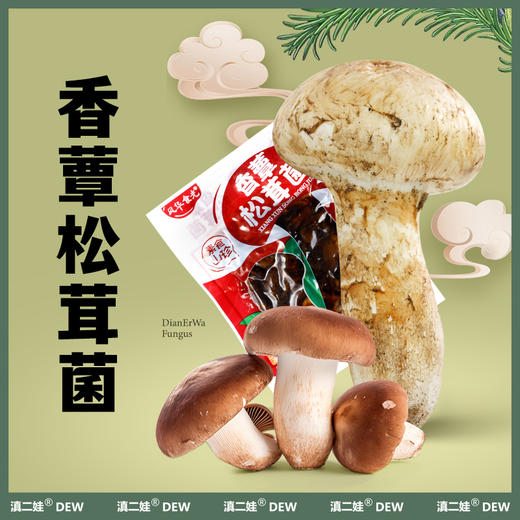 滇二娃云南特产即食香蕈菌鸡枞牛肝松茸香菇类菌子解馋小零食小吃 商品图1