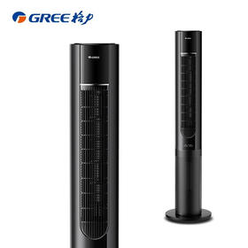 格力（GREE）冷暖塔扇塔式落地扇遥控家用风扇电风扇家用取暖器空气清新塔扇（FL-10X61RBg）