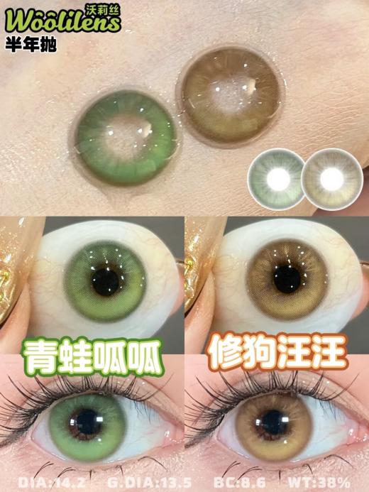 woolilens半年抛 修狗汪汪/青蛙呱呱 14.2mm 棕/绿 拍下即为一副两片 商品图0