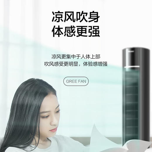 格力（GREE）冷暖塔扇塔式落地扇遥控家用风扇电风扇家用取暖器空气清新塔扇（FL-10X61RBg） 商品图2