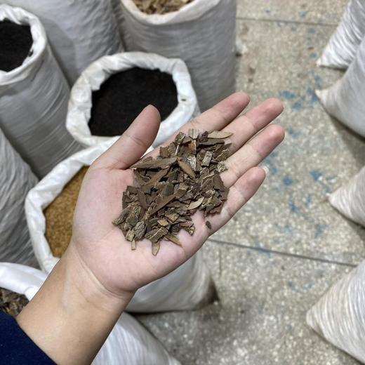 鬼箭羽   纯羽  鬼见羽 商品图1