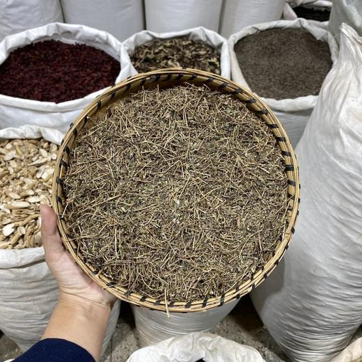 地锦草 商品图0