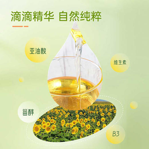 绿洲果实一级葵花籽油5L 物理压榨 商品图3