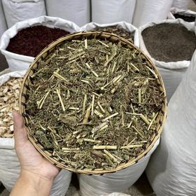 飞天蜈蚣 云南草药