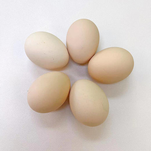 【可生食】无抗鸡蛋 土鸡蛋 只发当天鸡下的蛋 安全无抗生素 可以给孩子吃的放心鸡蛋 商品图1
