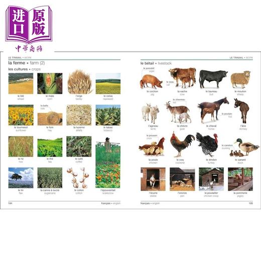 【中商原版】DK Bilingual Visual Dictionary French English 商务词典 2024年新版DK双语图解词典 法语 英语 双语图解字典 商品图4