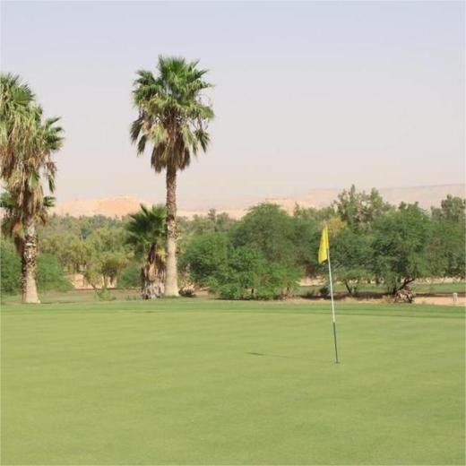 利雅得高尔夫俱乐部 Riyadh Golf Club | 利雅德高尔夫球场 | 沙特阿拉伯高尔夫球场俱乐部 商品图4