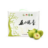 PAGODA百果园巫山脆李（特大）5斤彩箱装 商品缩略图0
