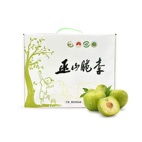 PAGODA百果园巫山脆李（特大）5斤彩箱装