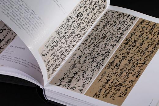 《浙江书法大系》，精装，全16册，中国美术学院、西泠印社、浙江省博物馆编，上海书画出版社2024年一版一印，定价8800元，售价：6160元。可分售。 商品图12