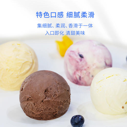 【8杯装-可挑选口味】新西兰原装进口冰淇淋120ml*8 商品图1