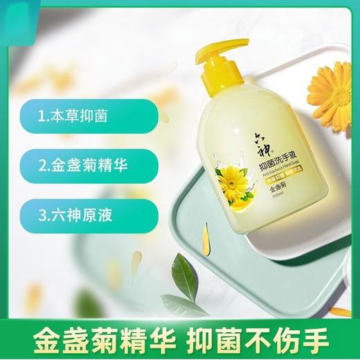 六神 金盏菊抑菌洗手液 500ml/瓶 商品图3