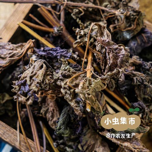 生态紫苏干 50g/袋 | 合作农友生产，来自广东肇庆，生产者：胡桂强 &【公平贸易农人定价】 商品图5