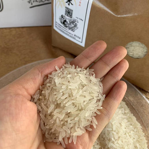 廉心米精选好米5kg 商品图0