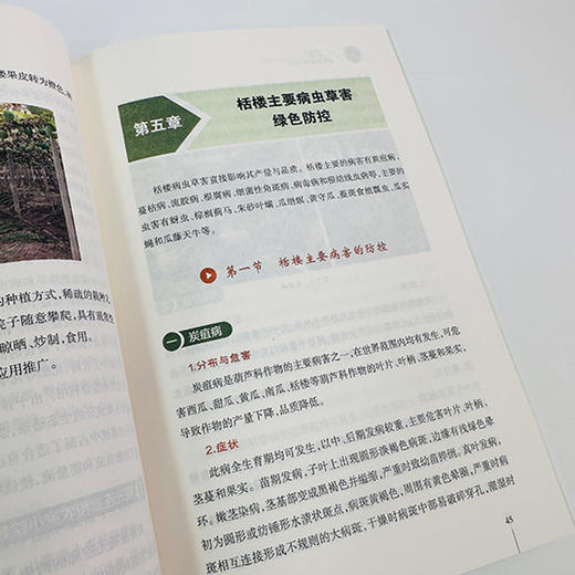 栝楼绿色高效生产技术 商品图1