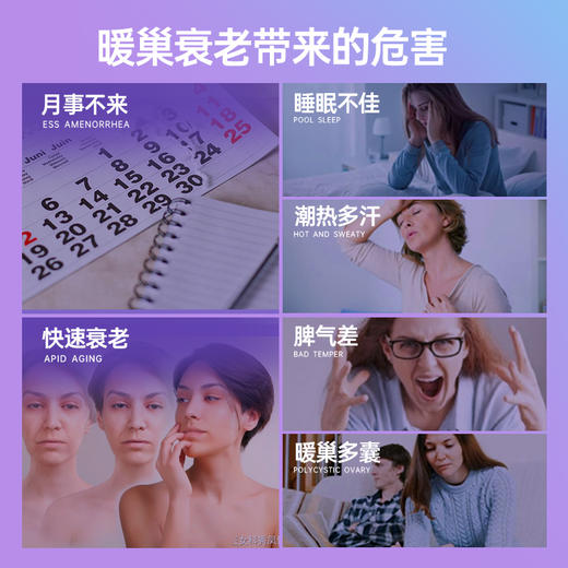 【养巢驻颜】紫一羊胚胎胶囊 90粒/瓶 商品图1