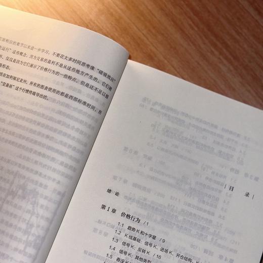 日本蜡烛图交易技术分析 商品图3