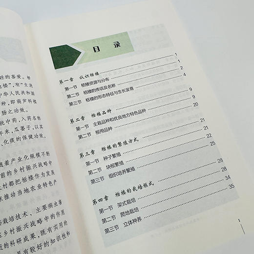 栝楼绿色高效生产技术 商品图4