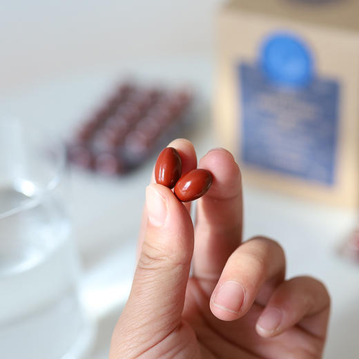 （捷克）Hildegard Medizin圣希尔德佳德肾胶囊120粒 商品图1