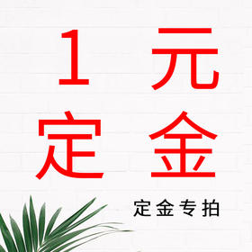 1元定金专拍（拍完发护肤顾问）