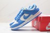 耐克NIKE DUNK LOW RETRO休闲运动板鞋DD1391-602男女鞋 商品缩略图7