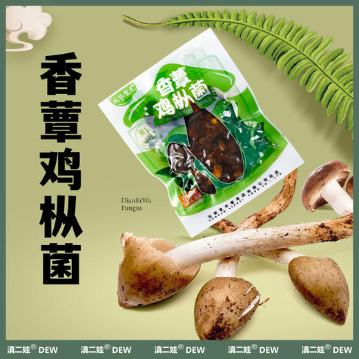 滇二娃云南特产即食香蕈菌鸡枞牛肝松茸香菇类菌子解馋小零食小吃 商品图3