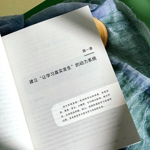 从教学新手到教学高手 课堂教学的20个实用策略 大夏书系 王福强 商品图8