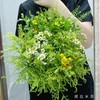 【氧气】油画小菊2支+黄莺6支+绿灵草2支+洋甘菊2支（提拉米苏设计） 商品缩略图9