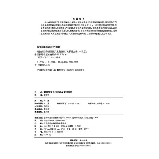 31198钢轨典型伤损图谱及案例分析 商品图3