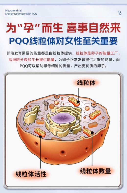 沿寿LIFE EXTENSION Mitochondrial Energy Optimizer with PQQ（沿寿·线粒体与PQQ）120粒 商品图2