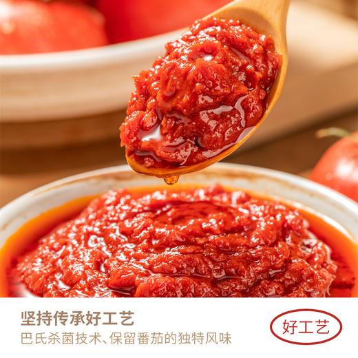 【自营】日光番茄调味料100g袋  5袋 商品图3
