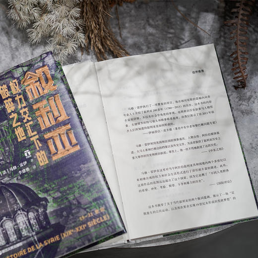 【从历史上看叙利亚的困境】《叙利亚：权力交汇下的破碎之地》（2024年10月出版） 商品图1
