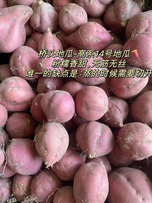 【桥头富硒地瓜｜无丝无筋粉糯香甜】只采挖沙土地地瓜，硒元素含量高，硒是长寿元素哦！ 商品图1