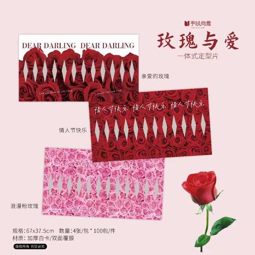 【新款印花定型片】一体式定型片（4张/包） 商品图6