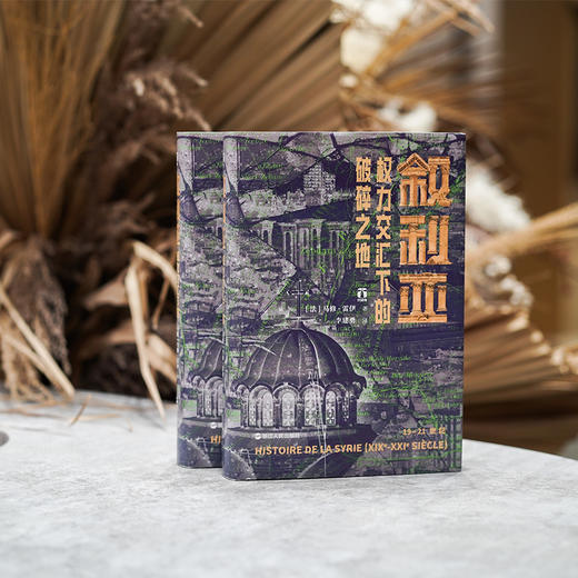 【从历史上看叙利亚的困境】《叙利亚：权力交汇下的破碎之地》（2024年10月出版） 商品图2