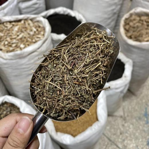 地锦草 商品图1