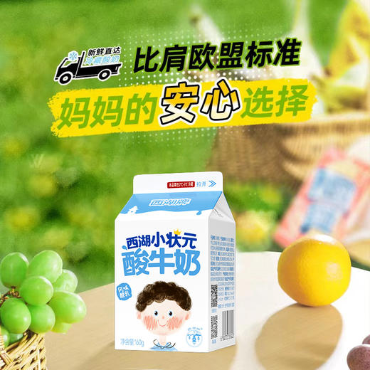 【周期购】西湖牌小状元苗条屋顶酸牛奶160g（低温酸奶，月套餐，每日配送） 商品图0