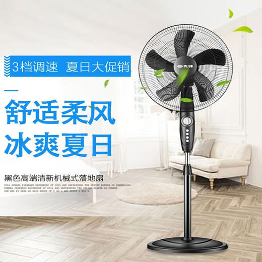.先锋 落地扇 FS40-16B 商品图0