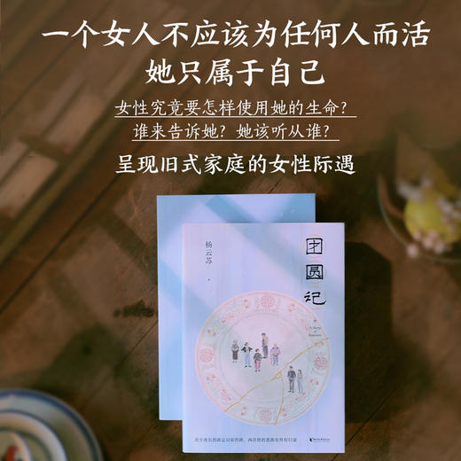 团圆记（此生漫长的路是回家的路，再决绝的逃离也终有归途  《幸得诸君慰平生》作者杨云苏（故园风雨前）长篇小说） 商品图2