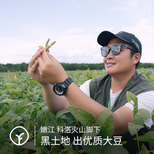 有机豆浆粉30g*7条/盒*2盒 商品图1