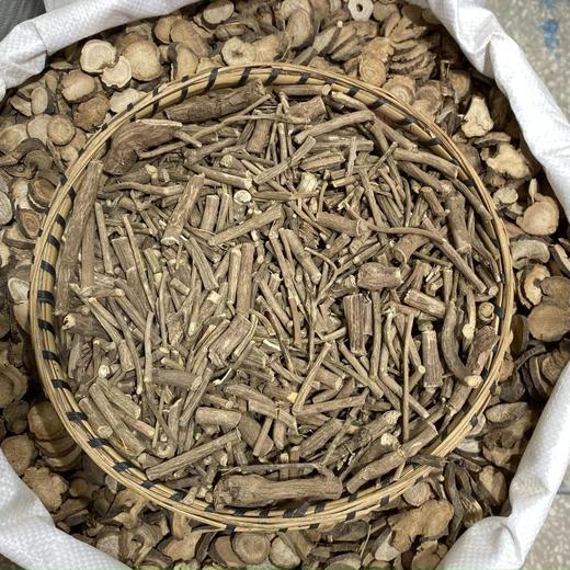 南木香 商品图2