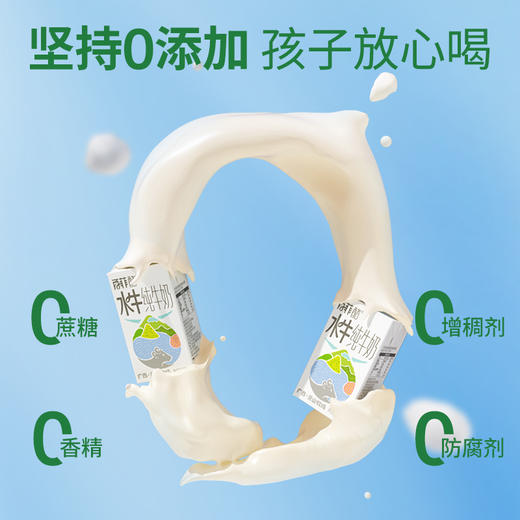 百菲酪 灵山牧场水牛纯牛奶 商品图2